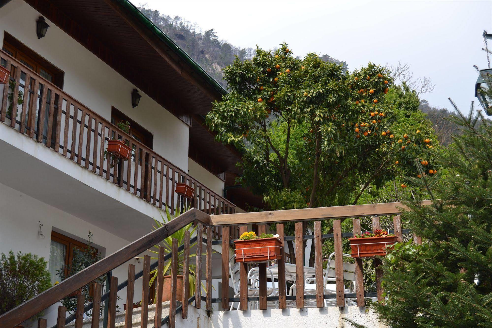 Hotel Carvalho Araujo Герес Экстерьер фото